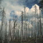 Pro Smartwatch